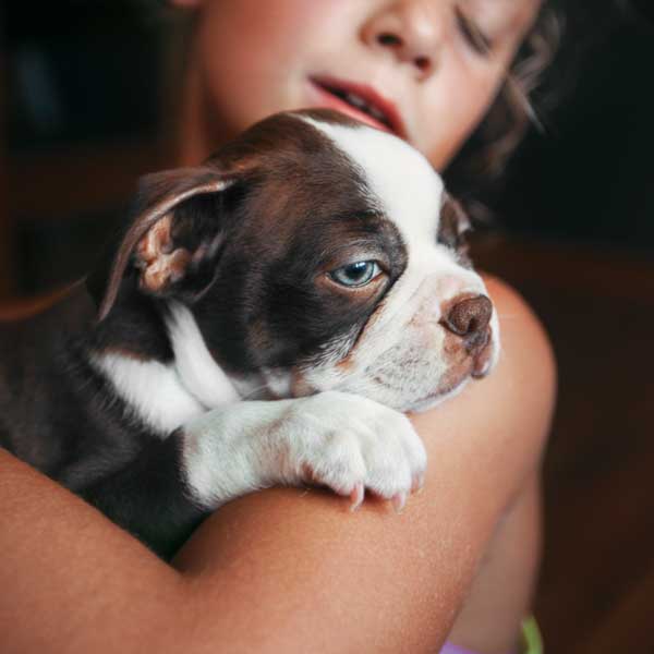 Visite de bonne santé et vaccination du chiot